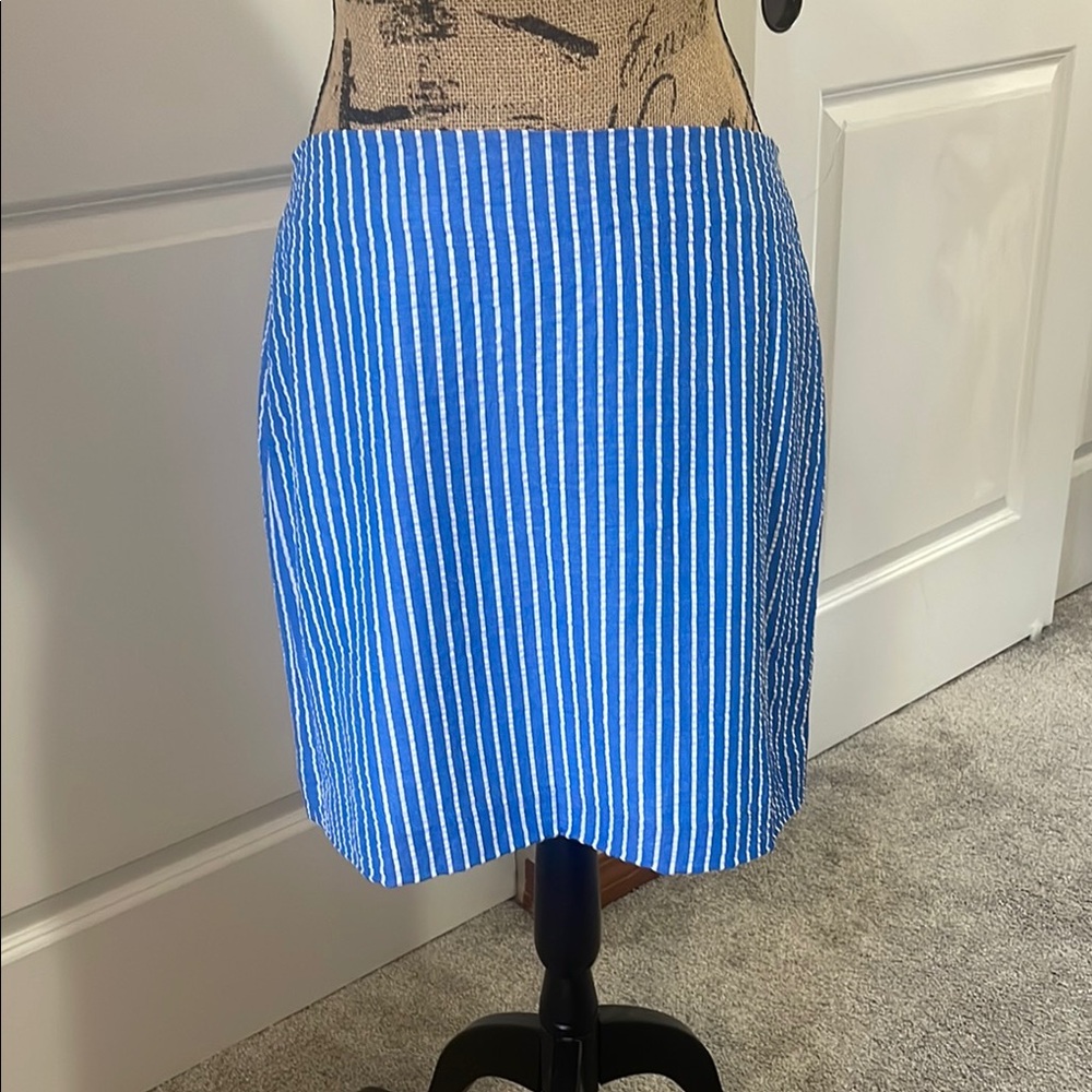 NWT Rae & Riley Blue Striped Skirt. 8
